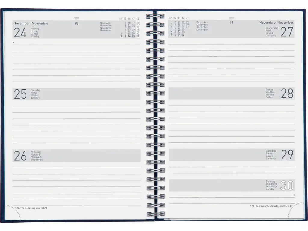 Agenda Dispo Term Savana 2025 