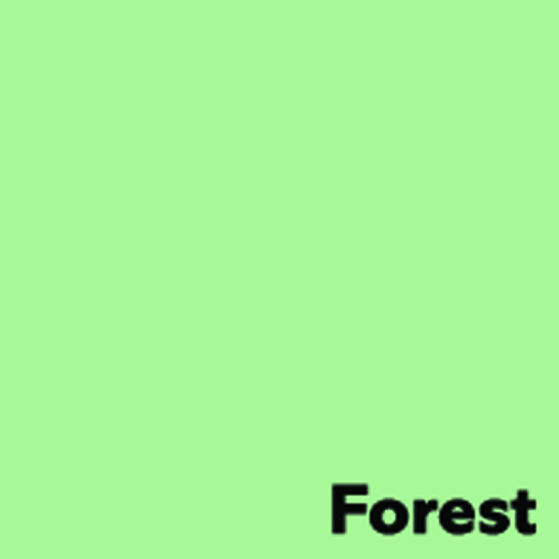 Papier à photocopies A4 Image Coloraction Forest / vert, 160 g/m2 250 feuilles