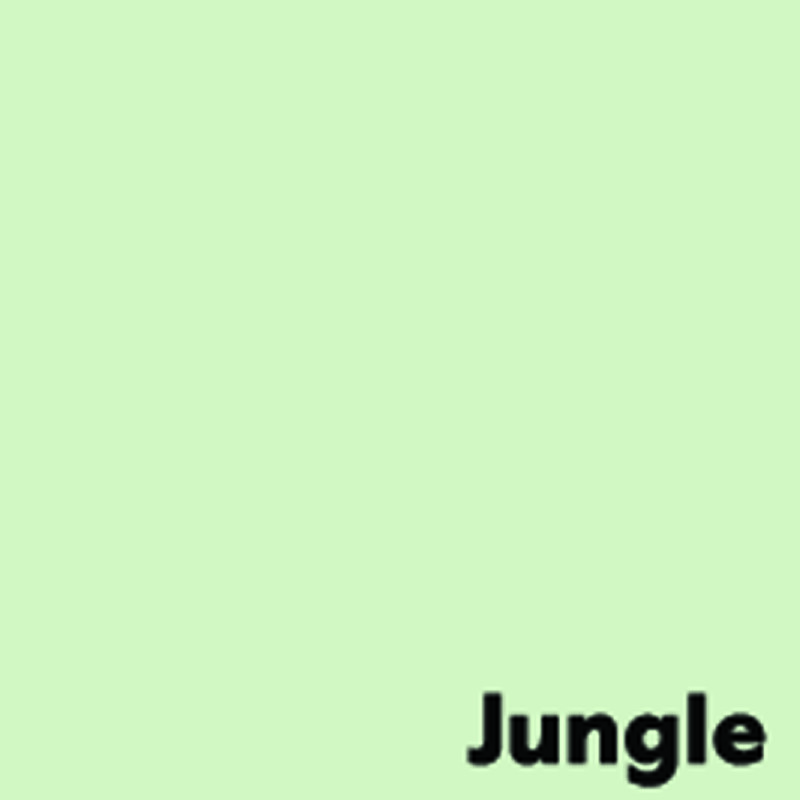 Kopierpapier A4 Image Coloraction Jungle/hellgrün 80 g/m2, 500 Blatt