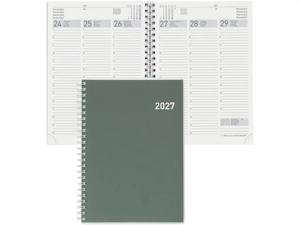 Agenda Terminia, Wire-O 2027, Cylar