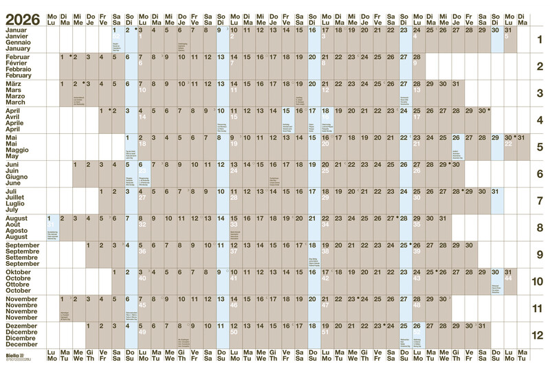 Tableau de planning annuels 69,5 x 46 cm 2026