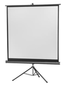Stativleinwand Eco 133 x 133 cm 1:1