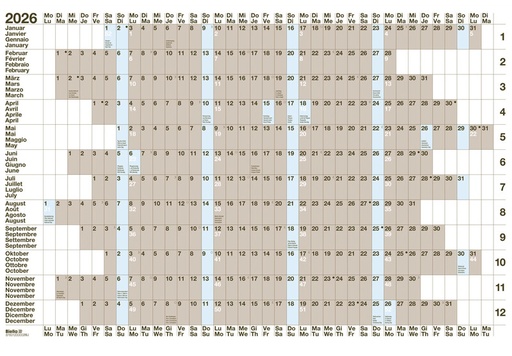 [AG480110] Tableau de planning annuels 69,5 x 46 cm 2027