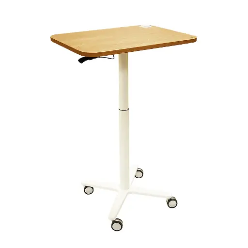 [DS57300] Station de travail X-Per Mobile